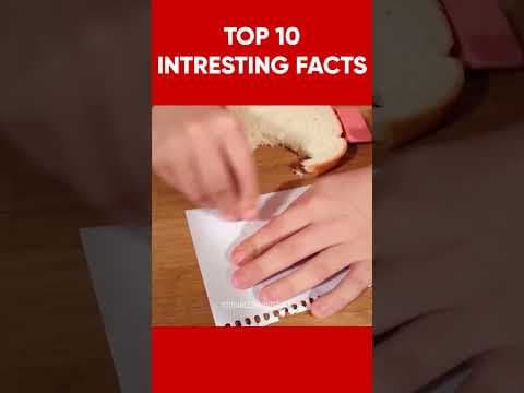 Recent post by INTERACT IDEA
