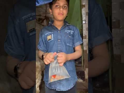 Recent post by Pets Man