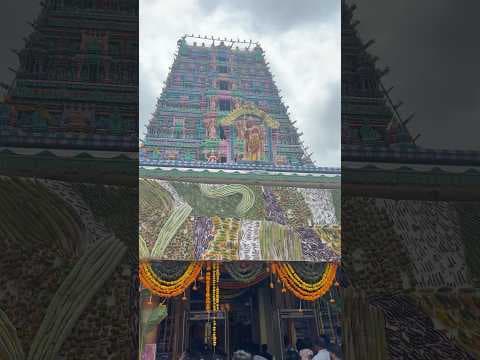 Recent post by Amara jyothy