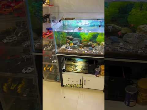 Recent post by Abhishek Vlogs 07