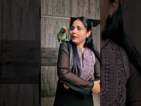 Recent post by Devender ranawat
