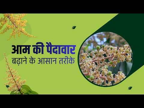 Recent post by Bihar Agricultural University Sabour