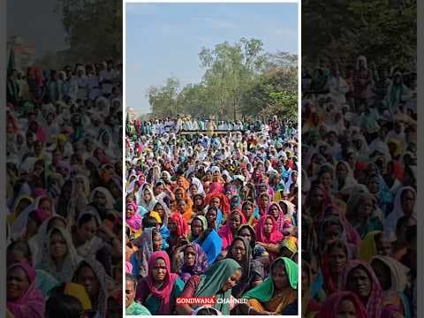 Recent post by Gondwana Channel