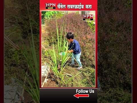 Recent post by HPN Marathi News