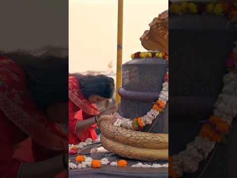 Recent post by SHWETA RAJYAGURU