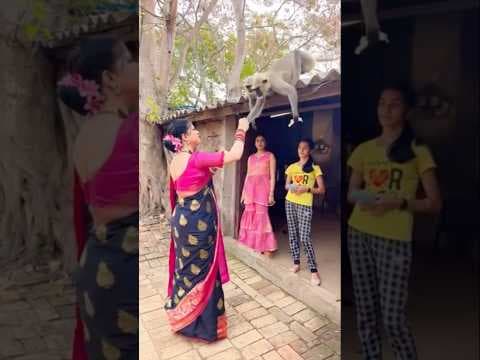 Recent post by Twinkle Mishra
