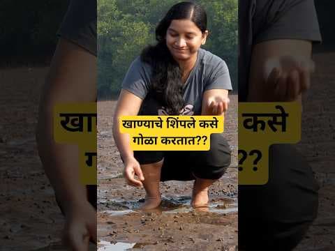 Recent post by Mukta Narvekar
