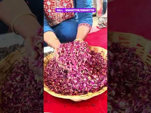 Recent post by Nanga Romba Busy