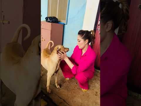 Recent post by MUNMUN DUTTA