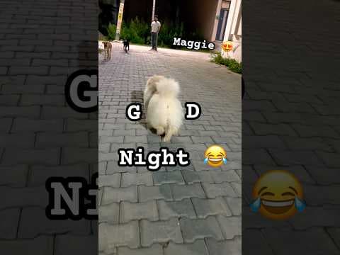 Recent post by FreeExoticPet
