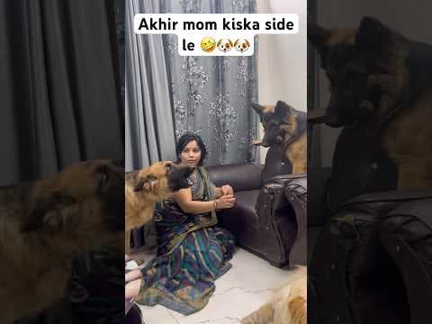 Recent post by Champ The Gsd