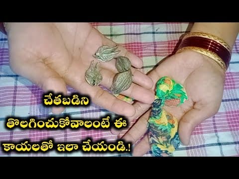 Recent post by Village Real Facts