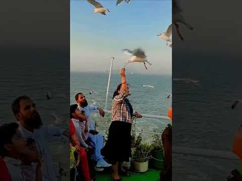 Recent post by Sandeep Mili Vlogs