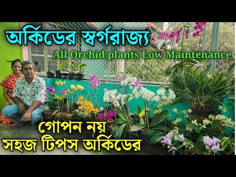 Recent post by Green Friends