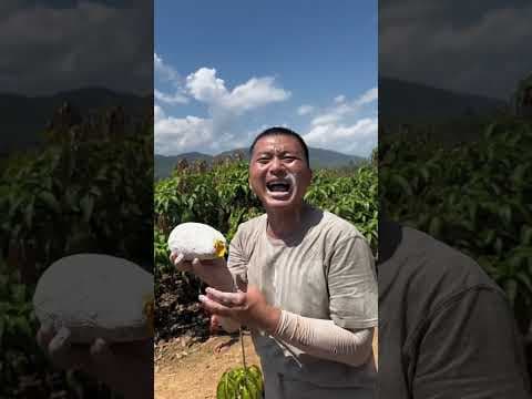 Recent post by Abhishek Vlogs 07