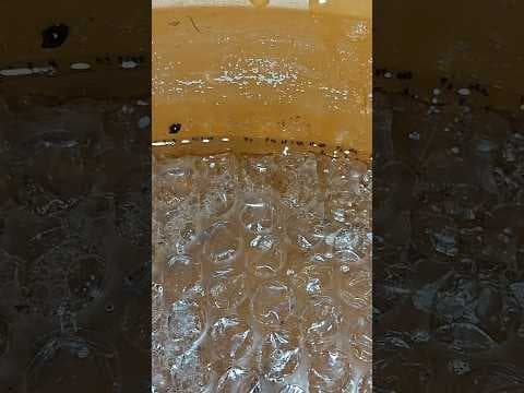 Recent post by Vijay Vlogs