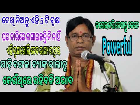 Recent post by Maa jogamaya Abani Pradhan
