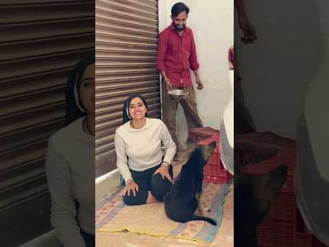 Recent post by Meenu Prajapati