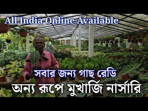 Recent post by Green Friends