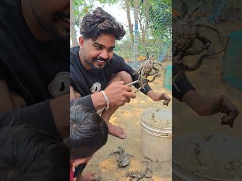 Recent post by Saroj_Laxmi.vlog-07