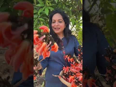 Recent post by Upadrasta Sunitha