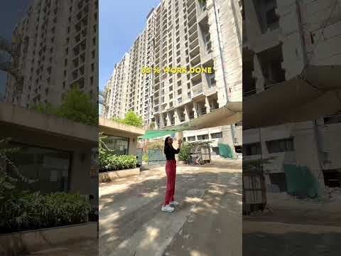 Recent post by K D Asset Builder