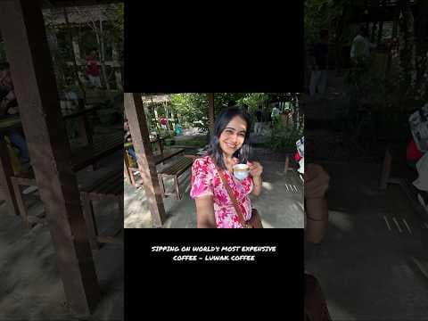 Recent post by Reena Dsouza