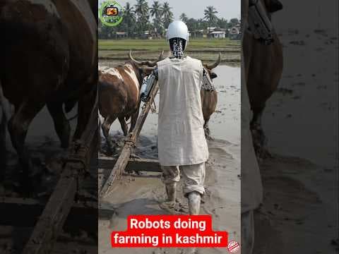 Recent post by Zubair hamid
