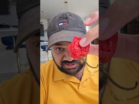 Recent post by Shiva Tube