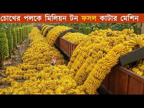 Recent post by Ko Bangla
