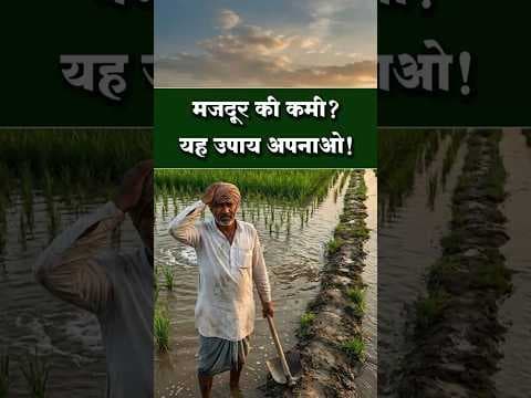 Recent post by Heera Agro Industries