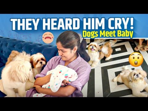 Recent post by Gowtham & Sowbaraniya (Tamil Influencer Couple)