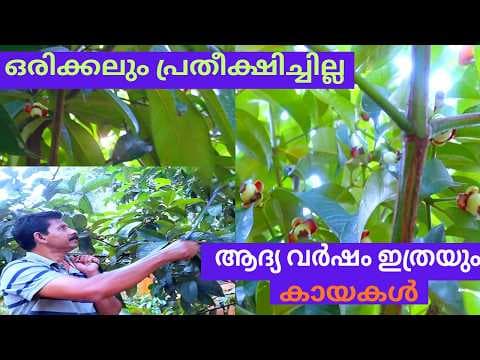 Recent post by Krishi Lokam
