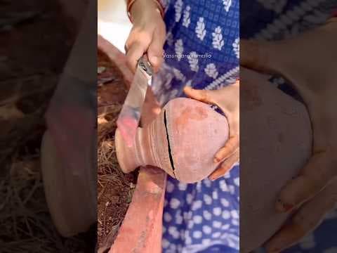 Recent post by Vasundara kamalla