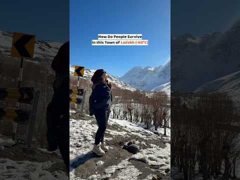 Recent post by Radhika Sharma