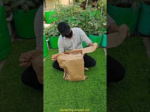 Recent post by Gardening Aasaan Hai