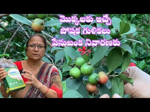 Recent post by Patnam Lo Palleturu by Pinnaka Padma