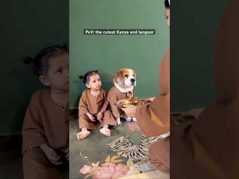 Recent post by Vartika Dixit