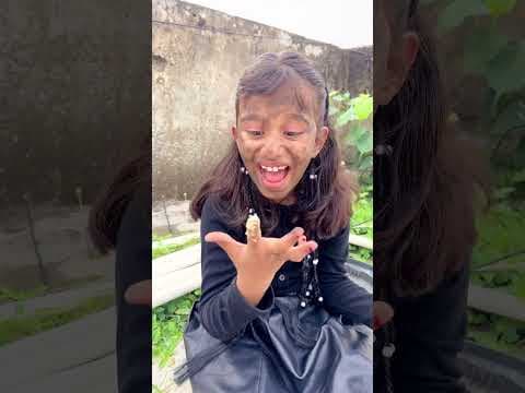 Recent post by Amaira gurjar
