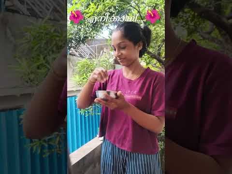 Recent post by Navya Anu