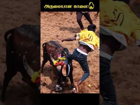 Recent post by வேதா போட்டோகிராபி
