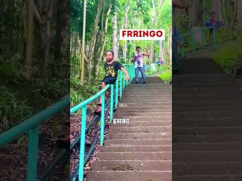 Recent post by The Frringo