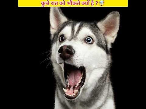 Recent post by Chandan Kumar