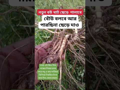 Recent post by Hakim Rashid Naogaon