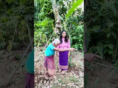 Recent post by Barsha Rani Bishaya