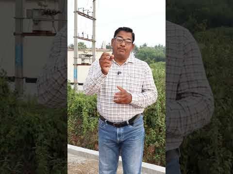 Recent post by KRUSHI SAMPADA