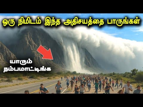 Recent post by Tamil Teazle