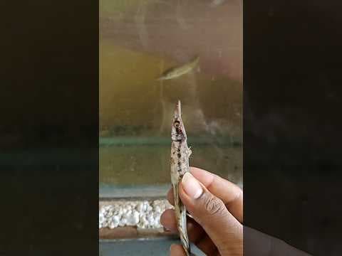 Recent post by Vijay Vlogs