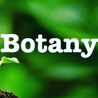 Botany Study Tips science