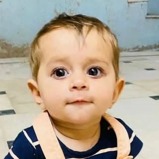 Gol Gappu
